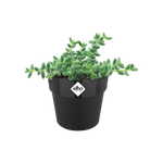 b.for original rond mini 9cm living black